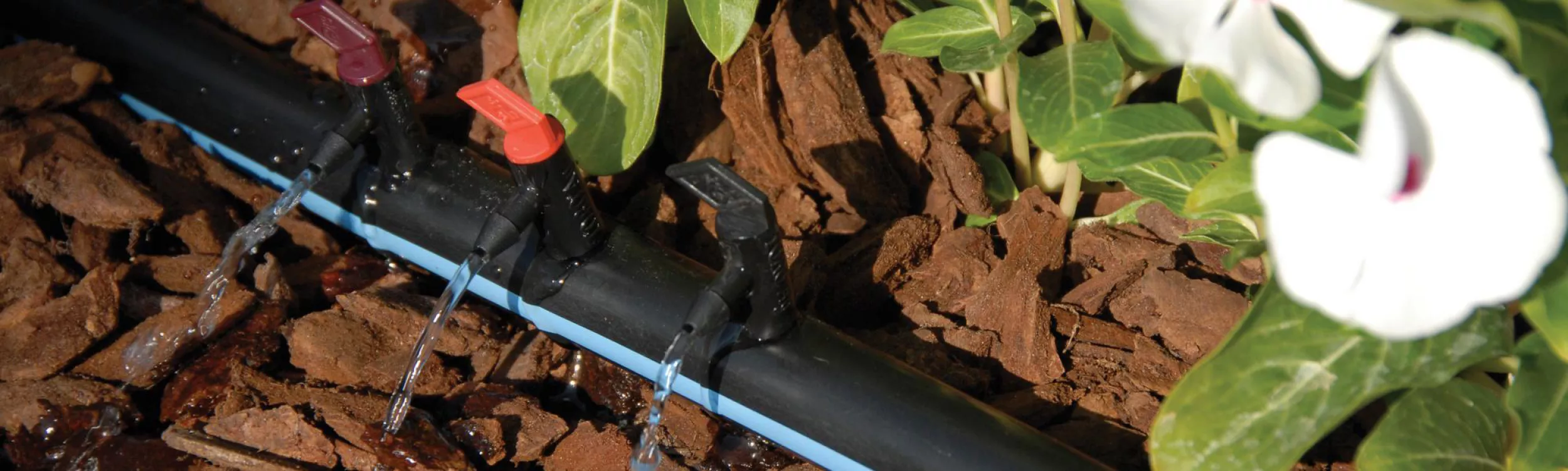 Micro irrigation - Hako France