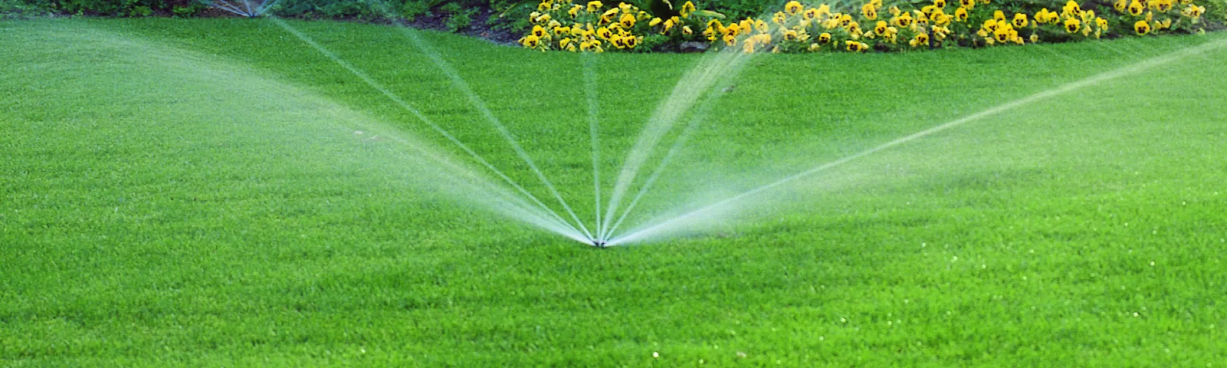 L'irrigation pour les particuliers - Hako France