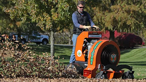 Guide des équipements d'automne